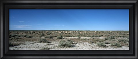 Framed Herd of springboks (Antidorcas marsupialis) grazing in a landscape, Etosha National Park, Kunene Region, Namibia Print
