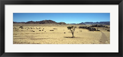 Framed Horse ranch on a homestead, Namibia Print
