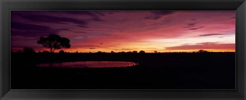 Framed Waterhole in a forest, Okaukuejo, Etosha National Park, Kunene Region, Namibia Print