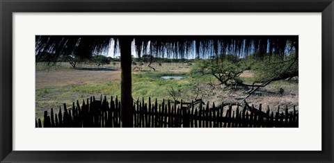 Framed View from a hut, waterhole, Onguma Bush Camp, Etosha National Park, Kunene Region, Namibia Print
