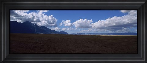 Framed Cattle pasture, Highway N7 from cape town to Namibia towards Citrusdal, Western Cape Province, South Africa Print