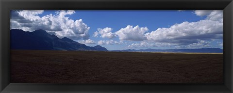 Framed Cattle pasture, Highway N7 from cape town to Namibia towards Citrusdal, Western Cape Province, South Africa Print