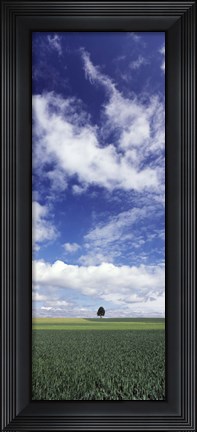 Framed Germany, Baden-Wurttemberg,Single tree in field, clouds Print
