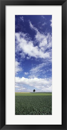 Framed Germany, Baden-Wurttemberg,Single tree in field, clouds Print