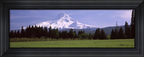 Framed Field with a snowcapped mountain in the background, Mt Hood, Oregon (horizontal) Print