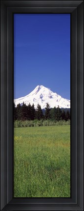 Framed Field with a snowcapped mountain in the background, Mt Hood, Oregon (vertical) Print