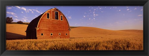 Framed Old barn in a wheat field, Palouse, Whitman County, Washington State Print