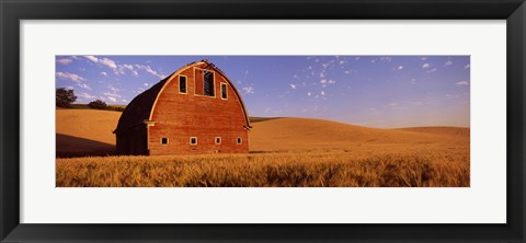 Framed Old barn in a wheat field, Palouse, Whitman County, Washington State Print