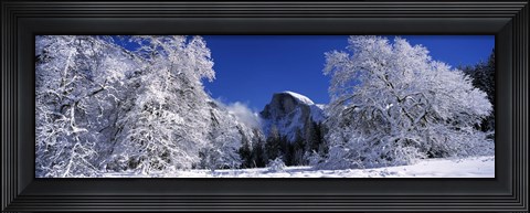 Framed Half Dome, Yosemite National Park, Mariposa County, California Print