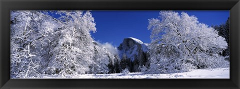 Framed Half Dome, Yosemite National Park, Mariposa County, California Print