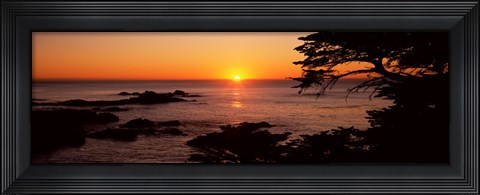 Framed Sunset over the sea, Point Lobos State Reserve, Carmel, Monterey County, California, USA Print