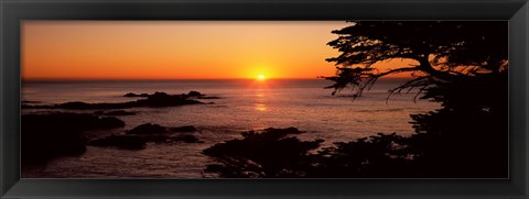 Framed Sunset over the sea, Point Lobos State Reserve, Carmel, Monterey County, California, USA Print