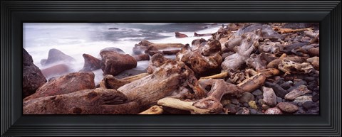Framed Driftwood on the beach, Oregon Coast, Oregon, USA Print