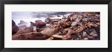 Framed Driftwood on the beach, Oregon Coast, Oregon, USA Print