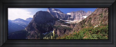 Framed Wildflowers with mountain range in the background, US Glacier National Park, Montana, USA Print