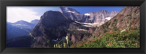 Framed Wildflowers with mountain range in the background, US Glacier National Park, Montana, USA Print