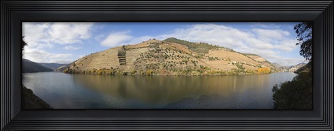 Framed Vineyards at the riverside, Cima Corgo, Duoro River, Douro Valley, Portugal Print