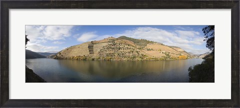 Framed Vineyards at the riverside, Cima Corgo, Duoro River, Douro Valley, Portugal Print