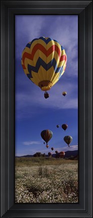 Framed Hot air balloons rising, Hot Air Balloon Rodeo, Steamboat Springs, Colorado Print