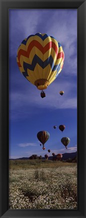 Framed Hot air balloons rising, Hot Air Balloon Rodeo, Steamboat Springs, Colorado Print