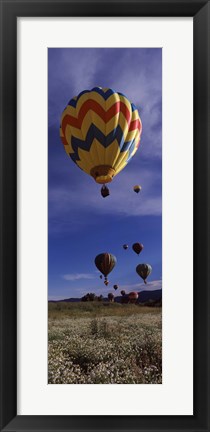 Framed Hot air balloons rising, Hot Air Balloon Rodeo, Steamboat Springs, Colorado Print