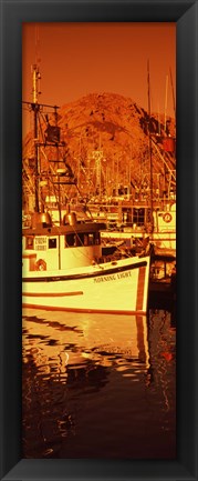 Framed Fishing boats in the bay, Morro Bay, San Luis Obispo County, California (vertical) Print