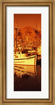 Framed Fishing boats in the bay, Morro Bay, San Luis Obispo County, California (vertical) Print