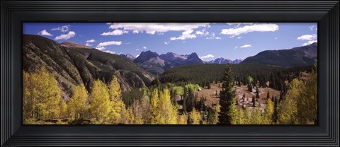 Framed Aspen trees with mountains in the background, Colorado, USA Print
