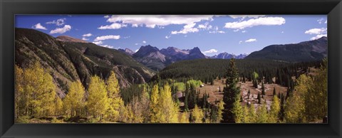 Framed Aspen trees with mountains in the background, Colorado, USA Print