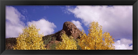 Framed Clouds above aspen trees in autumn, Colorado Print