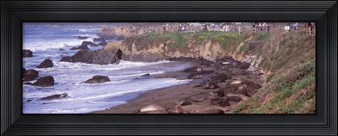 Framed Beach in San Luis Obispo County, California Print