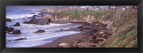 Framed Beach in San Luis Obispo County, California Print