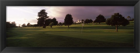 Framed Trees in a golf course, Montecito Country Club, Santa Barbara, California, USA Print