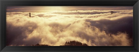 Framed Golden Gate Bridge Peaking through the fog, San Francisco, California Print