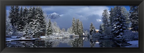 Framed Reflection of tree in a creek, Spring Creek, Mt Rundle, Canmore, Alberta, Canada Print