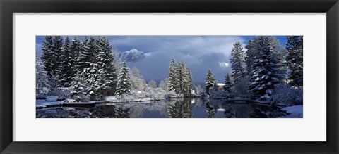 Framed Reflection of tree in a creek, Spring Creek, Mt Rundle, Canmore, Alberta, Canada Print