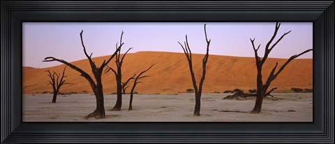 Framed Dead trees in a desert at sunrise, Dead Vlei, Sossusvlei, Namib-Naukluft National Park, Namibia Print