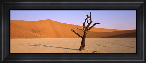 Framed Dead tree in a desert, Dead Vlei, Sossusvlei, Namib-Naukluft National Park, Namibia Print