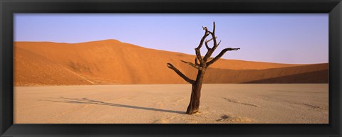 Framed Dead tree in a desert, Dead Vlei, Sossusvlei, Namib-Naukluft National Park, Namibia Print
