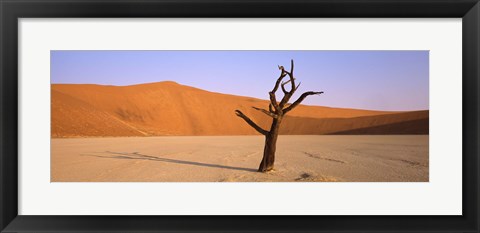 Framed Dead tree in a desert, Dead Vlei, Sossusvlei, Namib-Naukluft National Park, Namibia Print