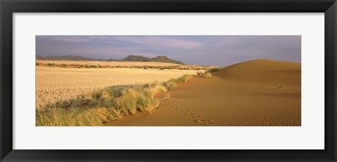 Framed Animal tracks on the sand dunes towards the open grasslands, Namibia Print