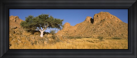 Framed Tree in the Namib Desert, Namibia Print