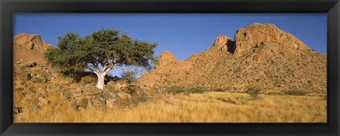 Framed Tree in the Namib Desert, Namibia Print