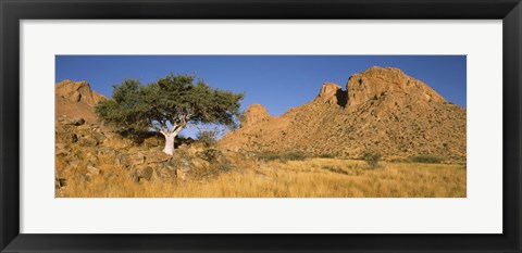 Framed Tree in the Namib Desert, Namibia Print