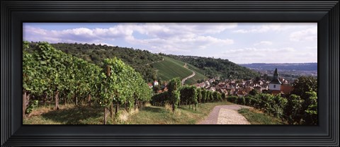 Framed Vineyards, Obertuerkheim, Stuttgart, Baden-Wurttemberg, Germany Print