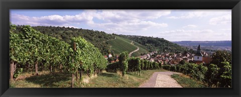 Framed Vineyards, Obertuerkheim, Stuttgart, Baden-Wurttemberg, Germany Print