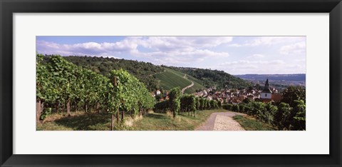 Framed Vineyards, Obertuerkheim, Stuttgart, Baden-Wurttemberg, Germany Print