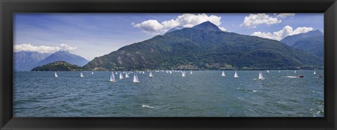 Framed Sailboats in the lake, Lake Como, Como, Lombardy, Italy Print