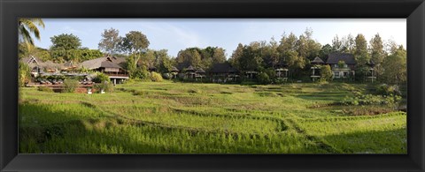 Framed Rice fieldst, Chiang Mai, Thailand Print