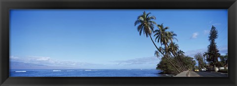 Framed Palm trees on the coast, Lahaina, Maui, Hawaii, USA Print